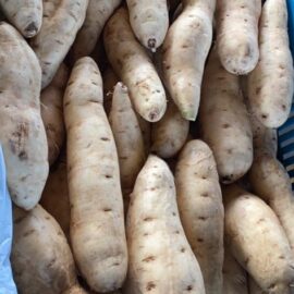 batata doce amarela