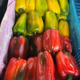 pimentão amarelo_vermelho